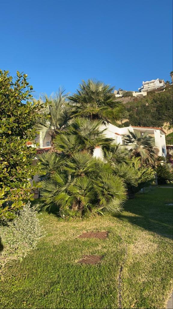 Casa Margherita Ischia Форио Экстерьер фото